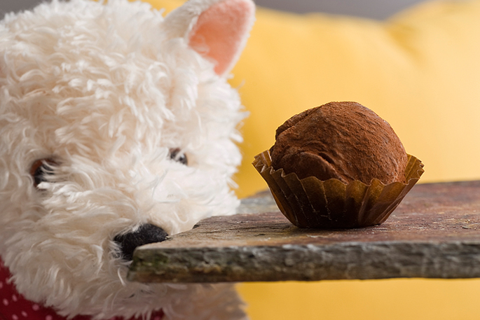 Pierre Debroas, chocolatier