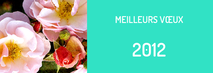 meilleurs vœux