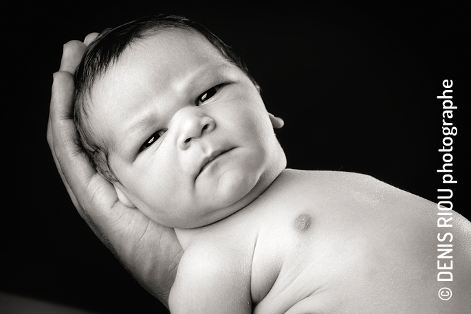 Portraits de naissance, Josué