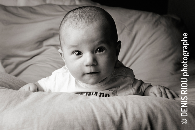 Portrait à domicile, Léo